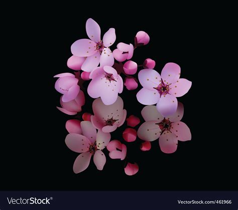 Cherry Blossoms Vector By Mayboro Image 461966 Vectorstock