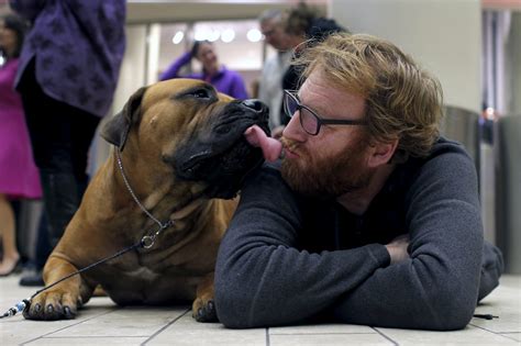 People Kiss Their Dog More Than Their Partner Neuhoff Media Springfield
