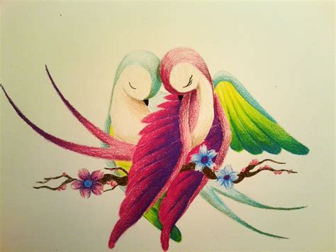 Pencil Drawing Images Of Love Birds Rectangle Circle