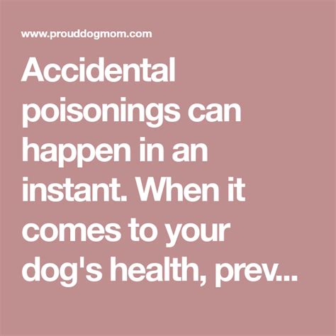 10 Common Household Items Toxic To Your Dog Proud Dog Mom Household