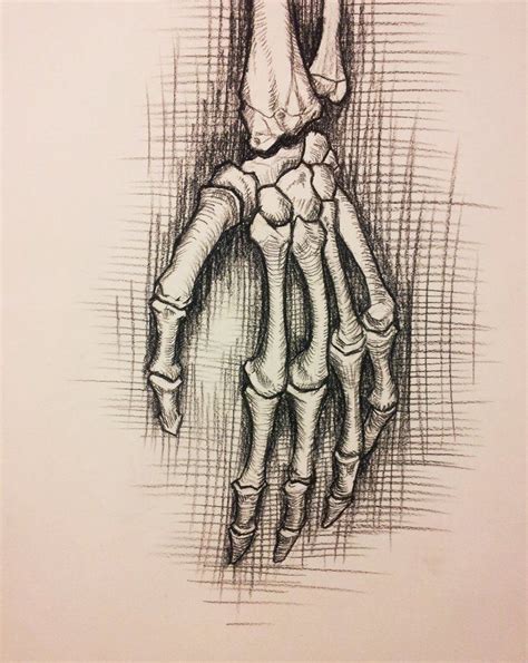 anatomy study skeleton hand by RichardBlumenstein on DeviantArt Arte de anatomía humana Arte