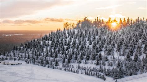 Download Wallpaper 1920x1080 Winter Snow Top Trees