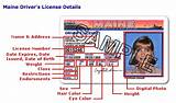 Restricted Driver License Application Images