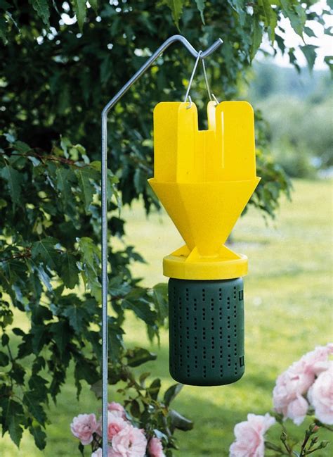 Japanese Beetle Trap Catch Can With Bait Japanese Beetles Trap
