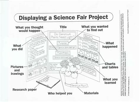 Mr Goodmans Classroom Blog Sample Science Fair Board