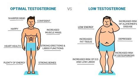 Heres How To Increase Testosterone For Better Sexual Health Best Online Portal