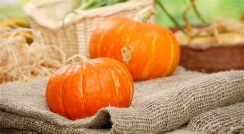 Рецепты из тыквы для диеты