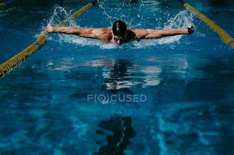 Professional Male Swimmer Practicing Butterfly Stroke In Swimming Pool