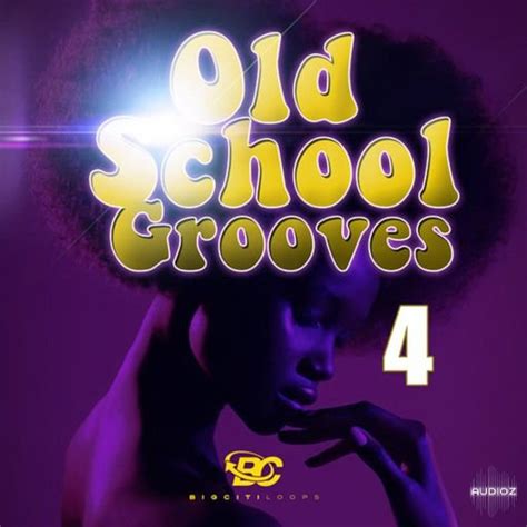 Download Big Citi Loops Old School Grooves 4 Wav Fantastic Audioz