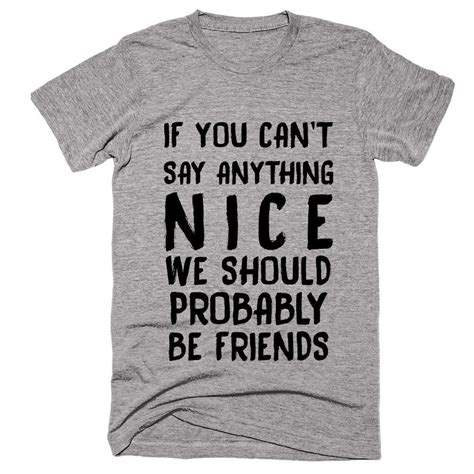 If You Cant Say Anything Nice We Should Probably Be Friends T Shirt T Shirts With Sayings T