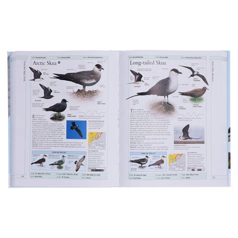 Rspb Complete Birds Of Britain And Europe New Edition By Rob Hume