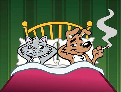 Cartoon Of Cute Cats And Dogs Together Illustrations Royalty Free