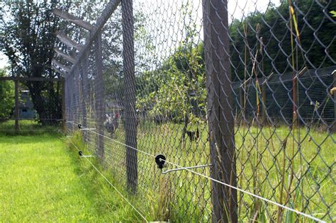 It is based on a strong physical and psychological barrier that keeps away intruders. Electric Fencing for Profitable Farming Investment ...