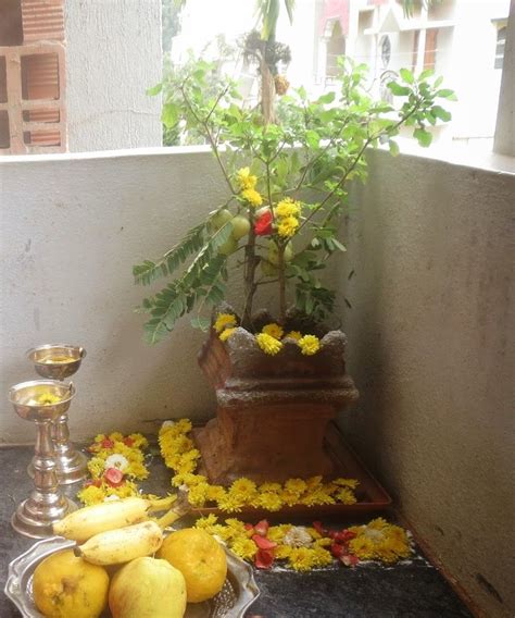 How To Do Tulasi Puja At Home Andre