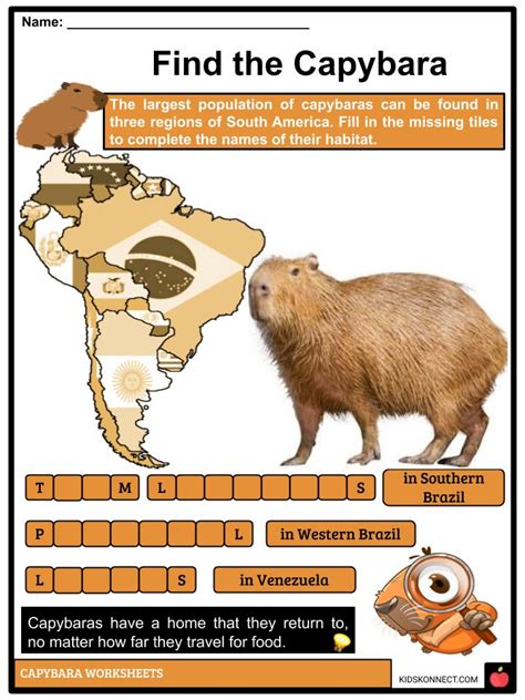 Capybara Facts Worksheets Habitat Diet And Reproduction For Kids