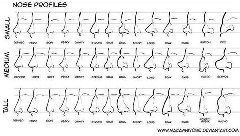 How To Draw Noses A Chart Rcoolguides
