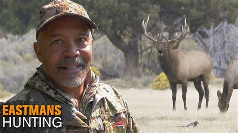 Bow Hunt Elk W Eastmans Subscriber Eastmans Official Blog Mule