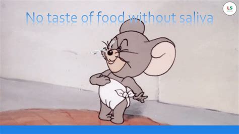 No Taste Of Food Without Saliva Youtube