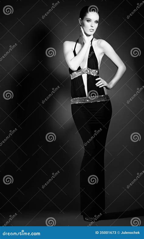 Portrait Of Young Woman In Elegant Evening Dresses Stock Image Image