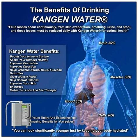 Kangen The Miracle Water