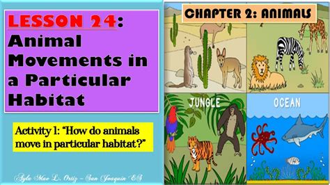 Science Iv Lesson 24 Animal Movements In A Particular Habitat Youtube