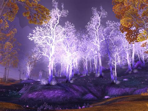 Bright Trees In Crystalsong Forest Graelix Saw Bright Tree Flickr
