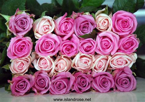 Select from the following valentine arrangements and valentine flowers to send to usa: Send flowers to someone special :) You know where to go ...