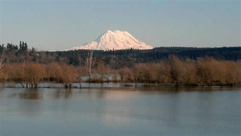 Photos At Nisqually National Wildlife Refuge Olympia Wa