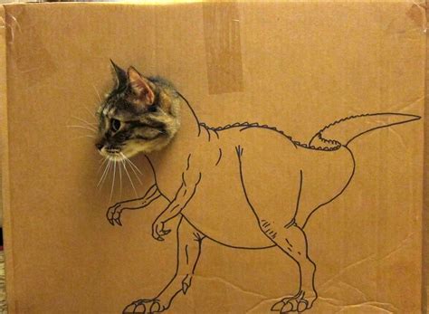 Dinosaur Cat A Clowder Of Cats Funny Animals Cats Rex Cat
