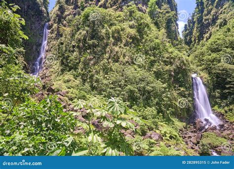 twin trafalgar falls dominica stock image image of beautiful waterfalls 282895315