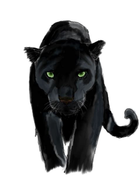 Panther Png 10 Free Cliparts Download Images On Clipground 2021