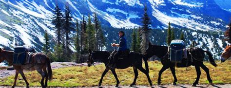 Montana Wilderness Pack Trips Horseback Trail Riding