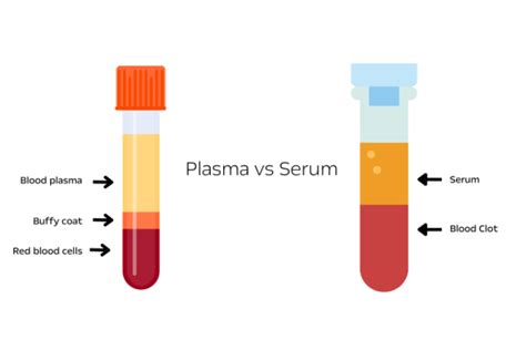 Plasma Vs Serum Differences And Applications In Medical Research