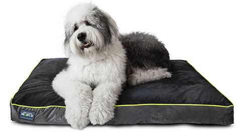 Best dog beds for large breeds canada. The Best Large Dog Beds For Big Breeds Or Doggy Families