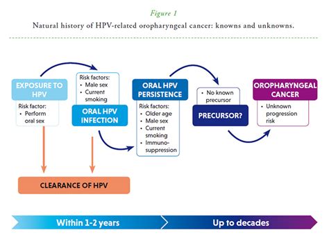 Hpv And Oral Sex Telegraph