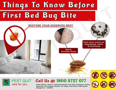 Things To Know Before First Bed Bug Bite Pest Quit