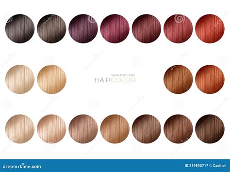 Color Chart For Hair Dye Tints Hair Color Palette With A Range Of