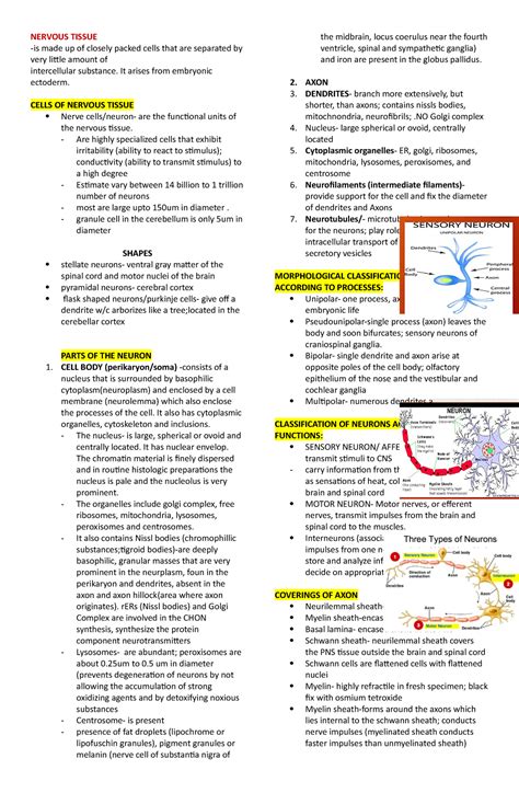 Nervous Tissue Lecture Notes NERVOUS TISSUE Is Made Up Of Closely