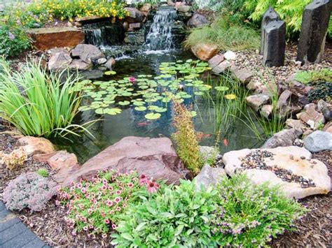Aquascapes Water Features Kings Material