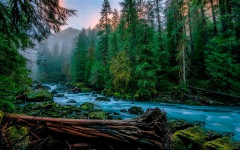 Télécharger Fonds Décran Skykomish Rivière De Montagne Le Matin