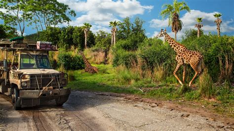 Kilimanjaro Safaris Animal Kingdom Attractions Walt Disney World Resort