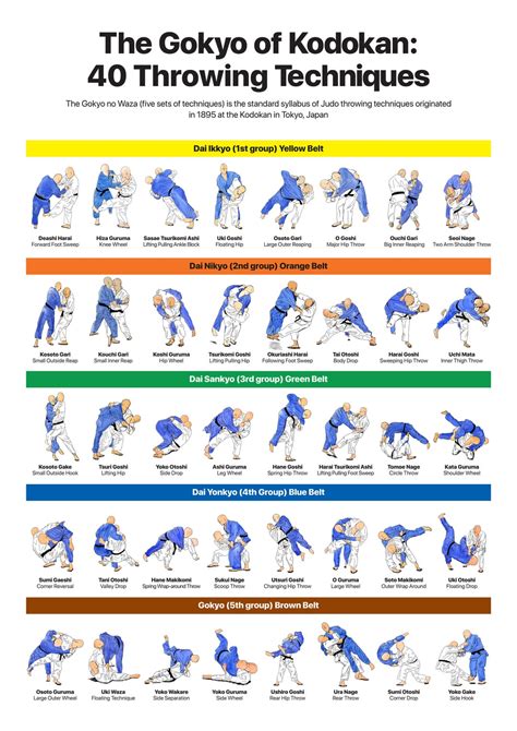 Judo Throws Poster Rjudo