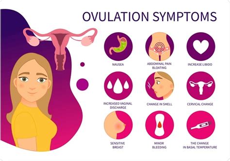 Vaginal Discharge During Ovulation