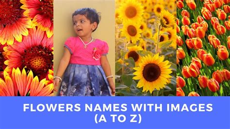 The Next 17 Things To Immediately Do About Names Of Flowers In
