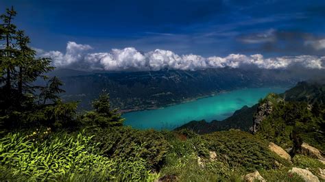 Бернские Альпы озеро под облаком с горами в Швейцарии 4k природа Hd на