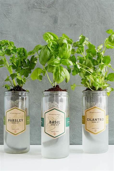 15 Indoor Herb Garden Ideas 2021 Kitchen Herb Planters We Love