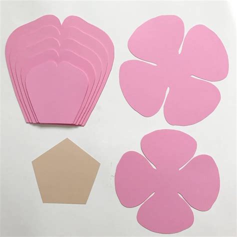 Best 11 Svg Petal 135 Template For Diy Giant Paper Flowers With Etsy