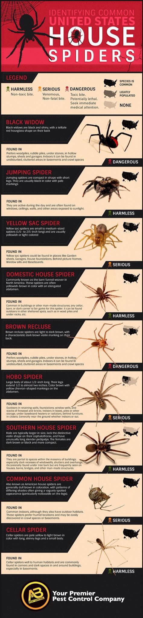 Pin By Stuff Bosquez On Things You Must Know House Spider Poisonous