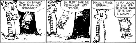 Selective About Reality Calvin And Hobbes Calvin And Hobbes Quotes