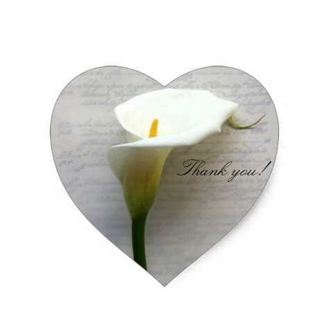 Calla Lily On Old Handwriting Thank You Heart Sticker Zazzle Heart